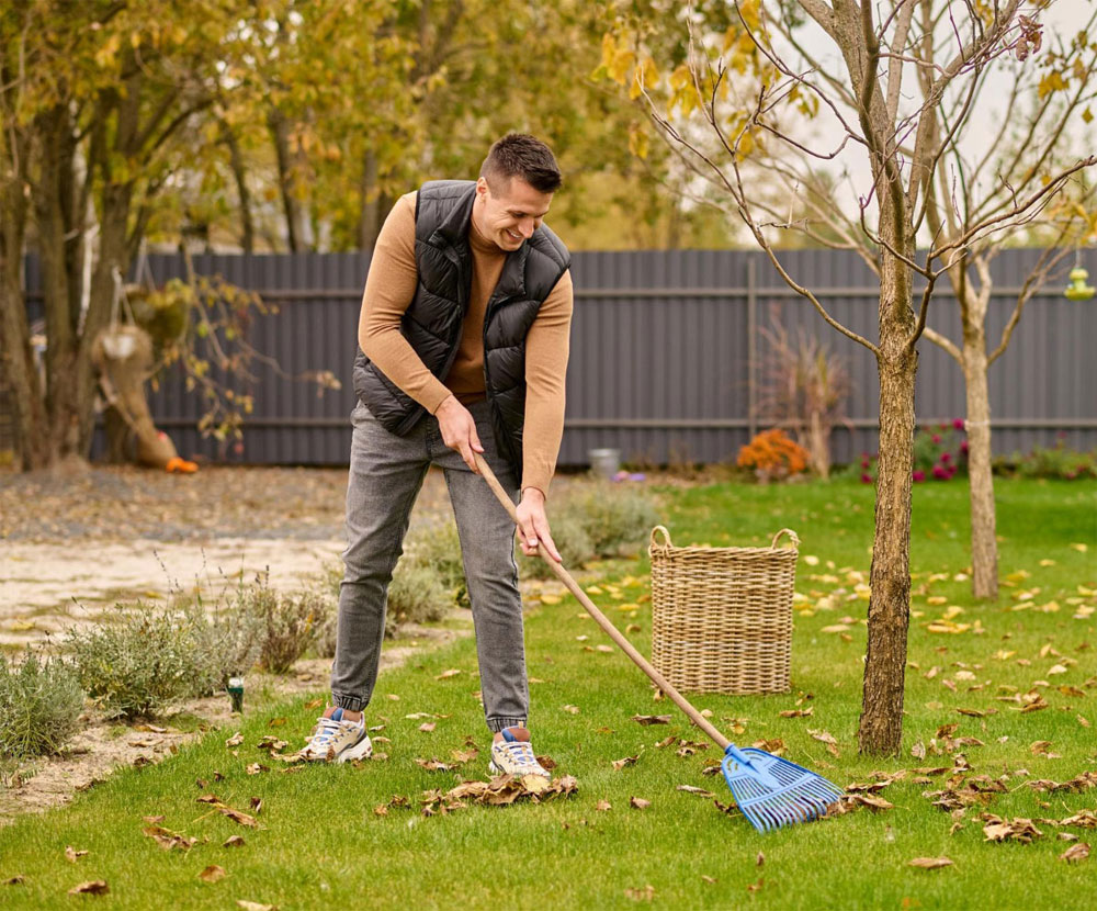 Garden Cleaning